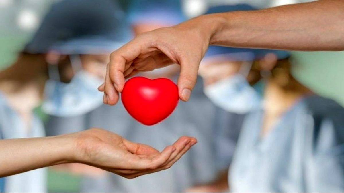 ۱۴ هزار نفر در لیست انتظار پیوند عضو/ فوت روزانه ۱۰ نفر بر اثر نرسیدن عضو پیوندی ۱۴ هزار نفر در لیست انتظار پیوند عضو/ فوت روزانه ۱۰ نفر بر اثر نرسیدن عضو پیوندی