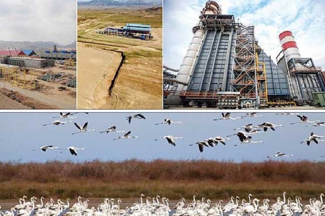 مقاومت در برابر دستور دولت مقاومت در برابر دستور دولت