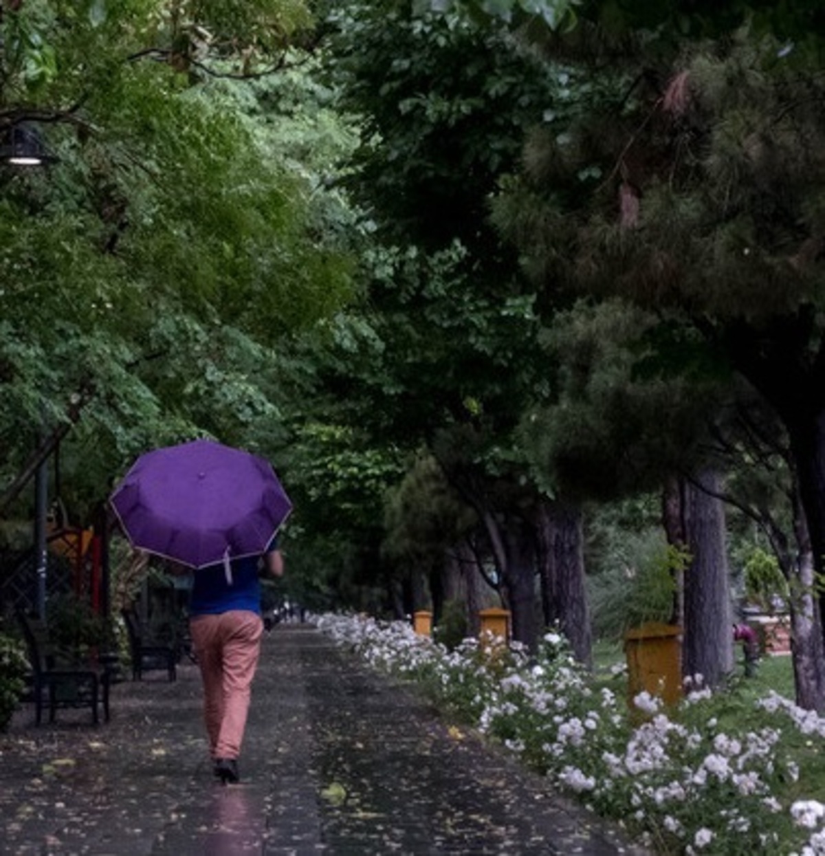 رگبار و رعد و برق در تهران/ کاهش نسبی دما رگبار و رعد و برق در تهران/ کاهش نسبی دما