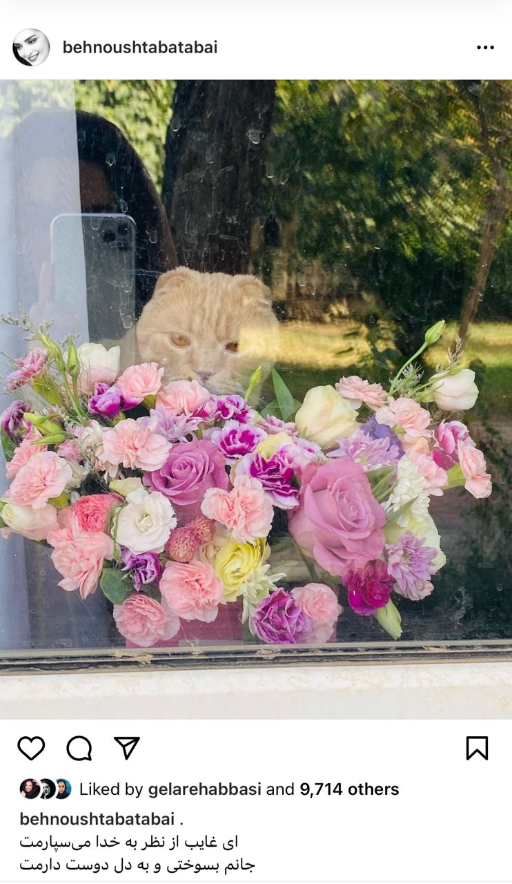 عکس جنجالی از ازدواج دوم بهنوش طباطبایی بعد طلاق آقای بازیگر عکس جنجالی از ازدواج دوم بهنوش طباطبایی بعد طلاق آقای بازیگر