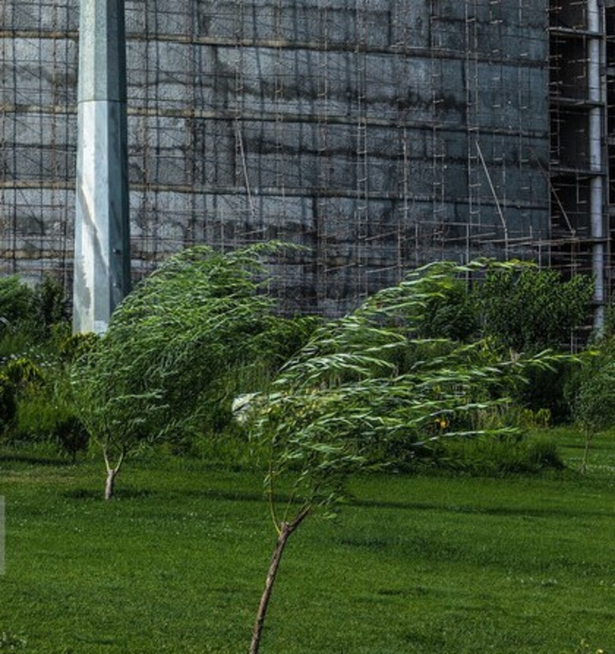 وزش باد شدید و گرد و خاک در جنوب وغرب تهران/ تداوم آلودگی هوای نواحی پرتردد وزش باد شدید و گرد و خاک در جنوب وغرب تهران/ تداوم آلودگی هوای نواحی پرتردد