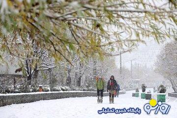 اداره کل هواشناسی استان تهران اطلاعیه داد اداره کل هواشناسی استان تهران اطلاعیه داد