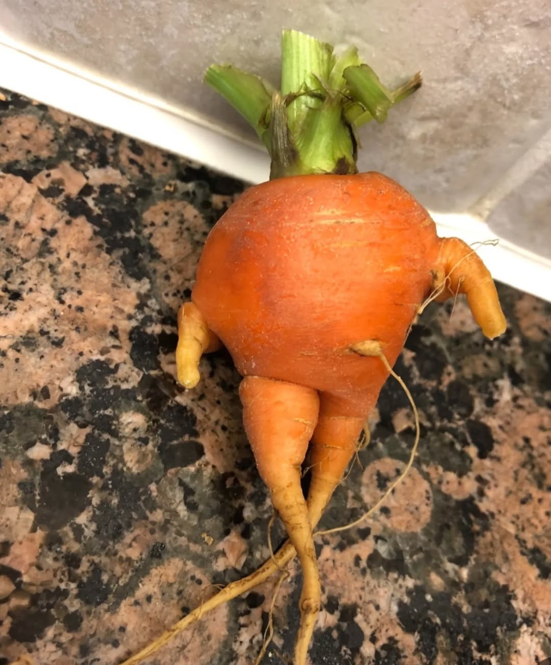 photo_2025-05-10_12-51-25